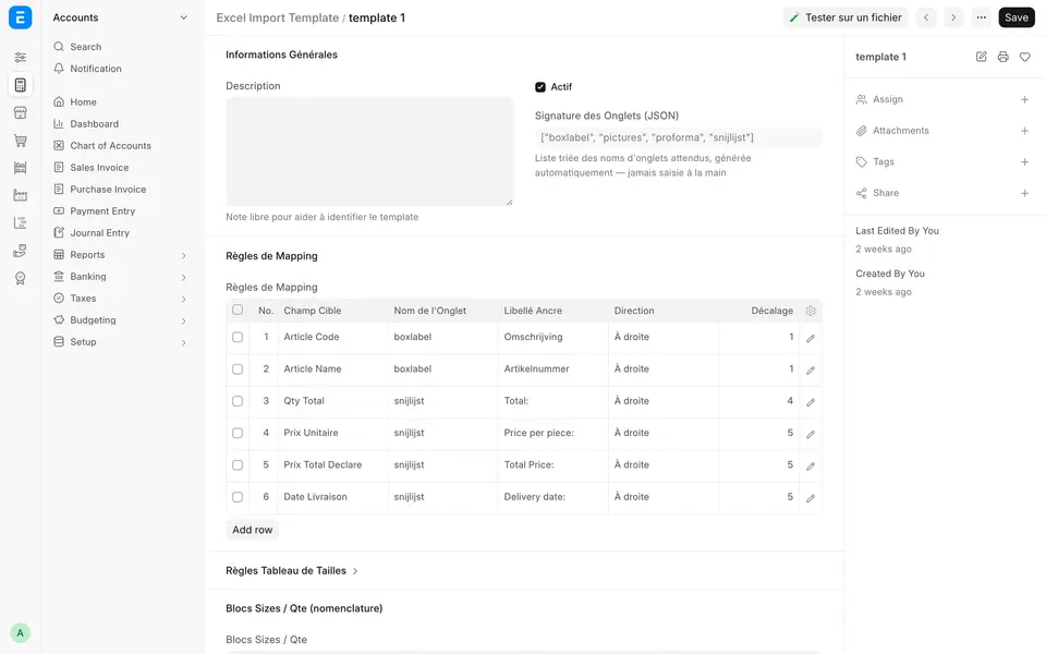 Excel Import Template: mapping rules, source tab, anchor label and direction of the value