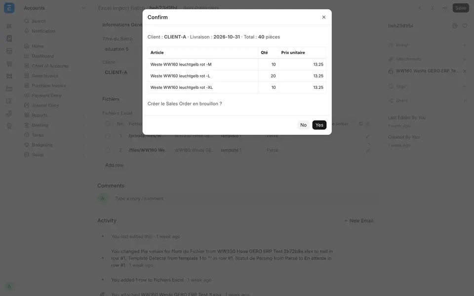 Sales Order preview generated from the Excel file: customer, delivery date and lines per size