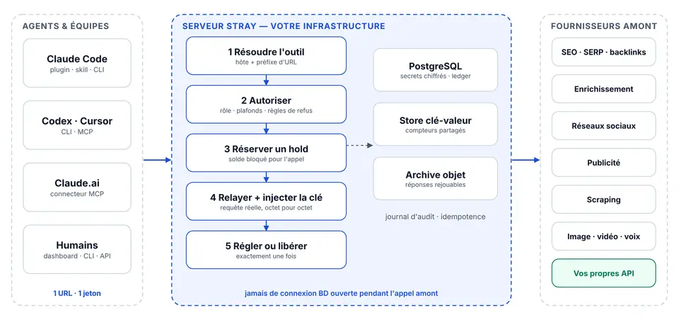 Stray architecture: agents, server (resolve, authorise, hold, relay, settle) and providers