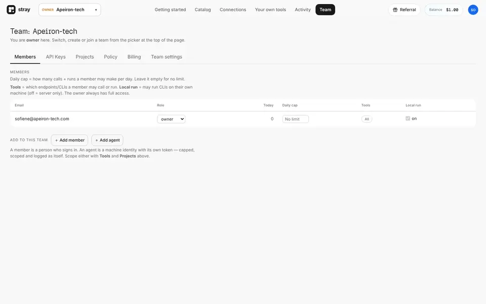 Team: members, roles, daily caps and per-tool access